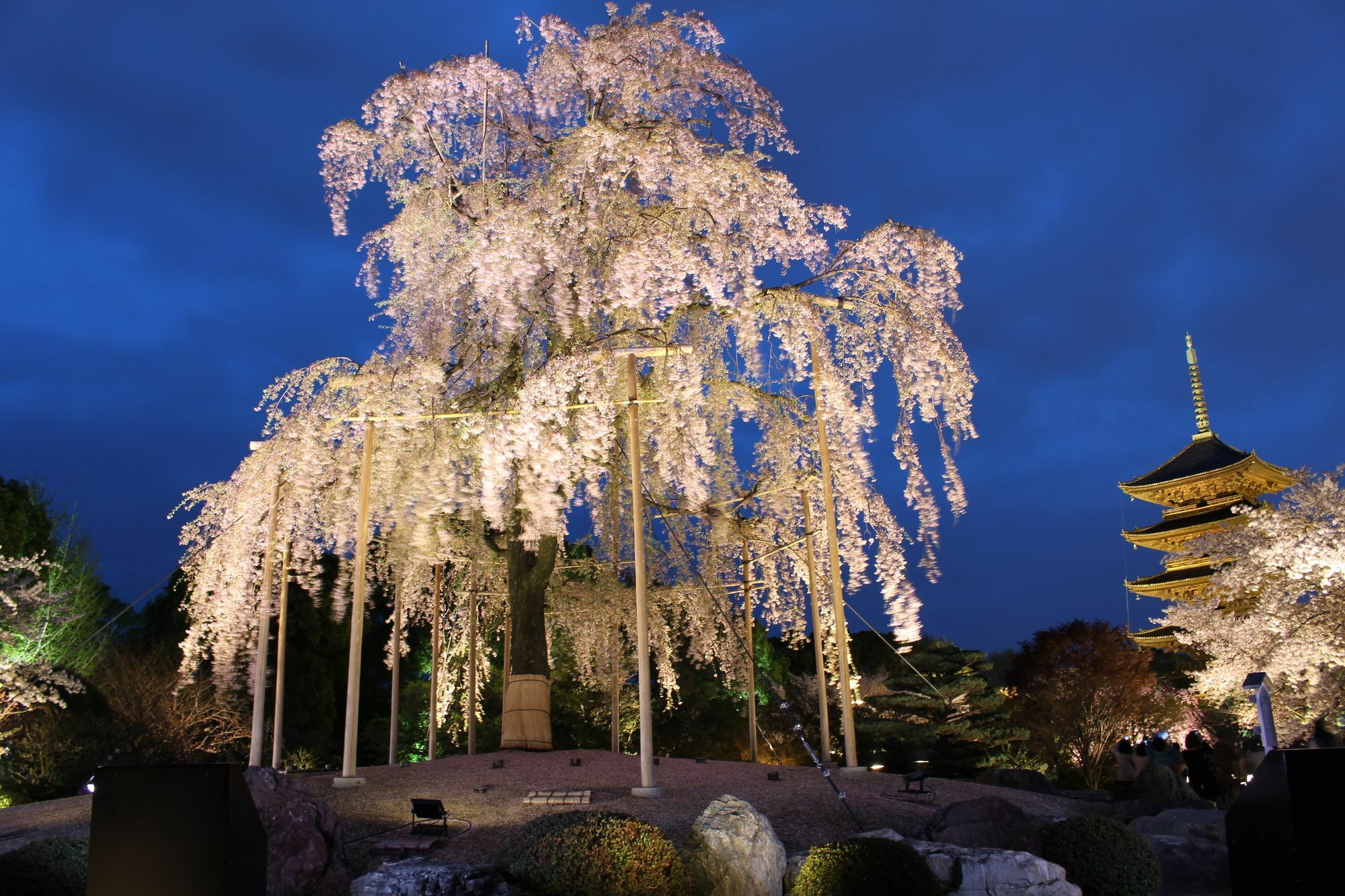 Stay Sakura Kyoto Toji South I Exterior photo